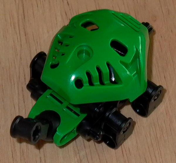 turtle01.jpg
