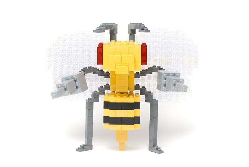 101014fjf003.jpg