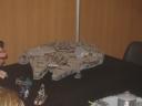 legoworld040.jpg