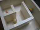 maze040.jpg