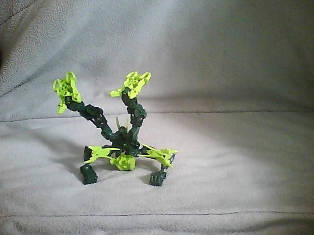 015.jpg