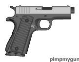 colt_pocket_protecter_.45_acp.jpg