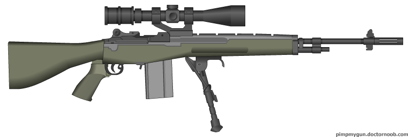 m14dmr.jpg