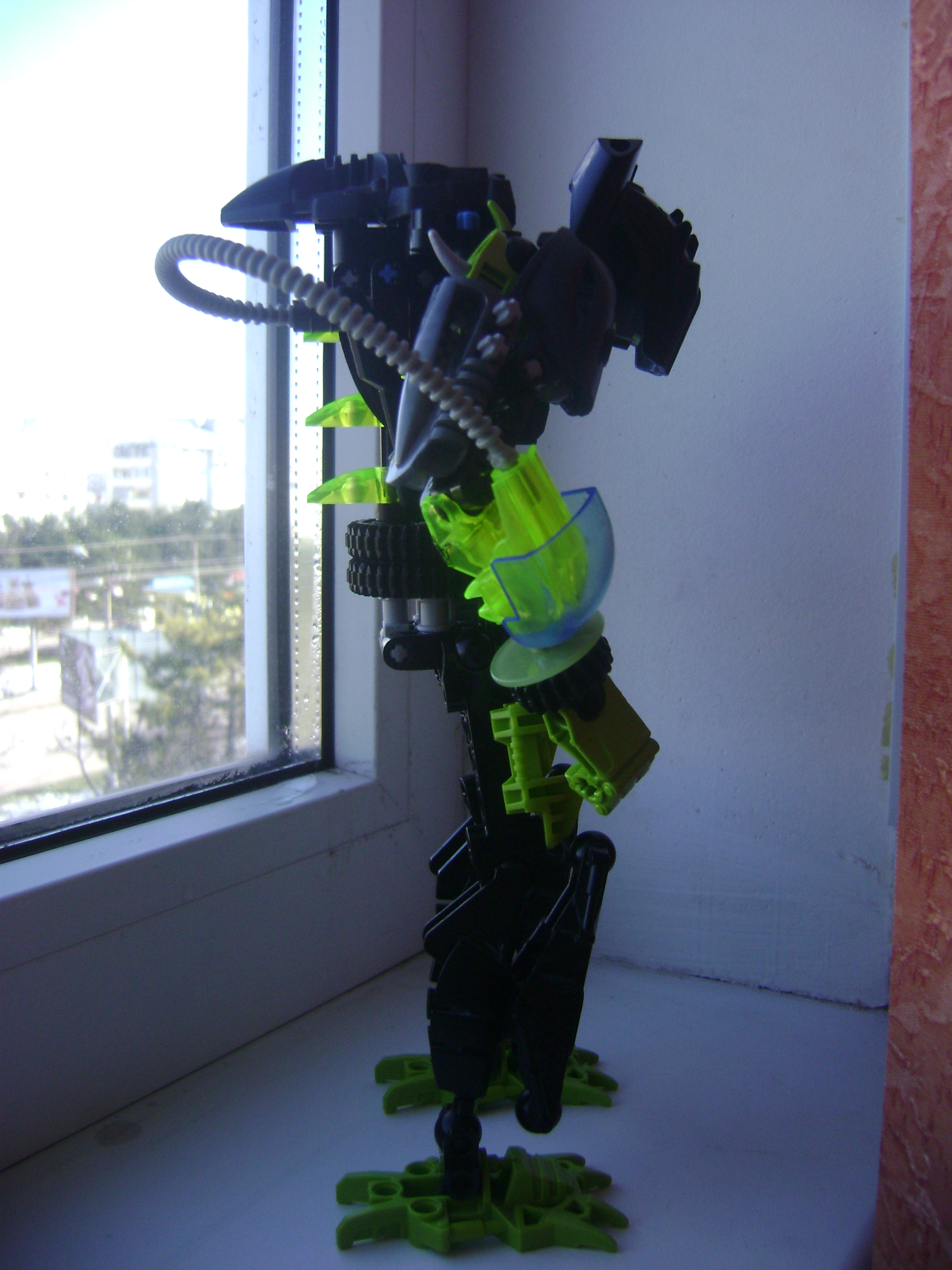 dsc09638.jpg