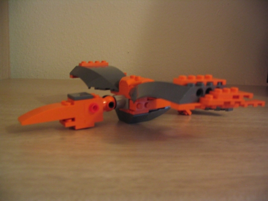 bird-flight.jpg