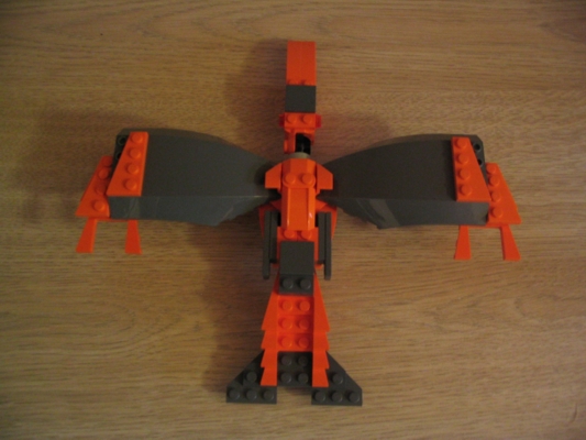 bird-top.jpg