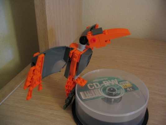 bird.jpg