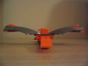 bird-front.jpg