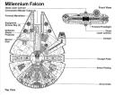 afalconref.jpg