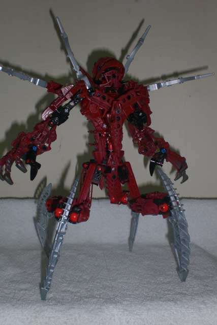 arachnoa.jpg