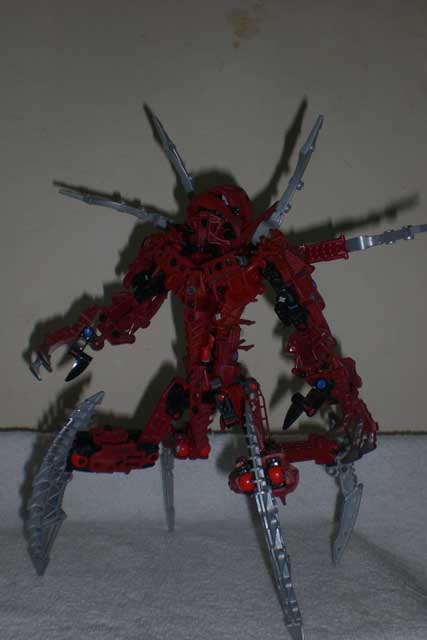 arachnoa_2.jpg