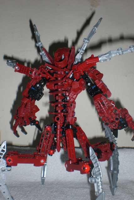 arachnoa_back.jpg