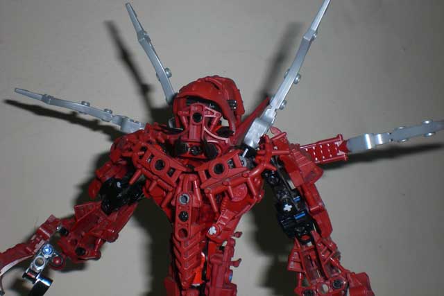 arachnoa_close_up.jpg