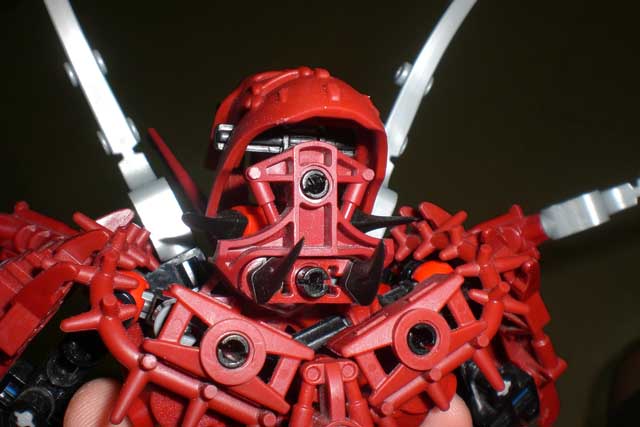 arachnoa_head.jpg