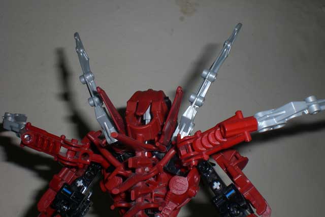 arachnoa_head_back.jpg