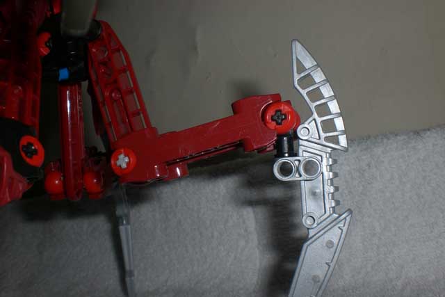 arachnoa_leg_back.jpg