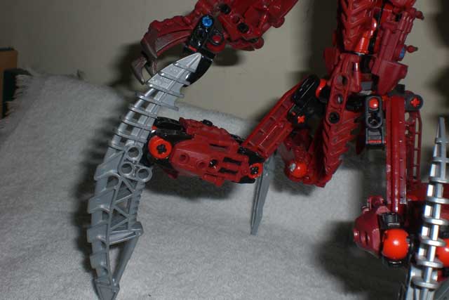 arachnoa_leg_front.jpg