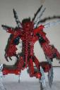 arachnoa_back.jpg