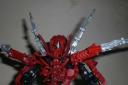 arachnoa_head_back.jpg