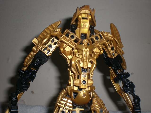 aureum_close_up.jpg
