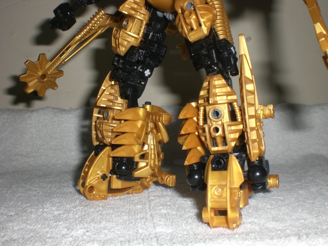 aureum_legs.jpg
