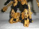 aureum_legs.jpg
