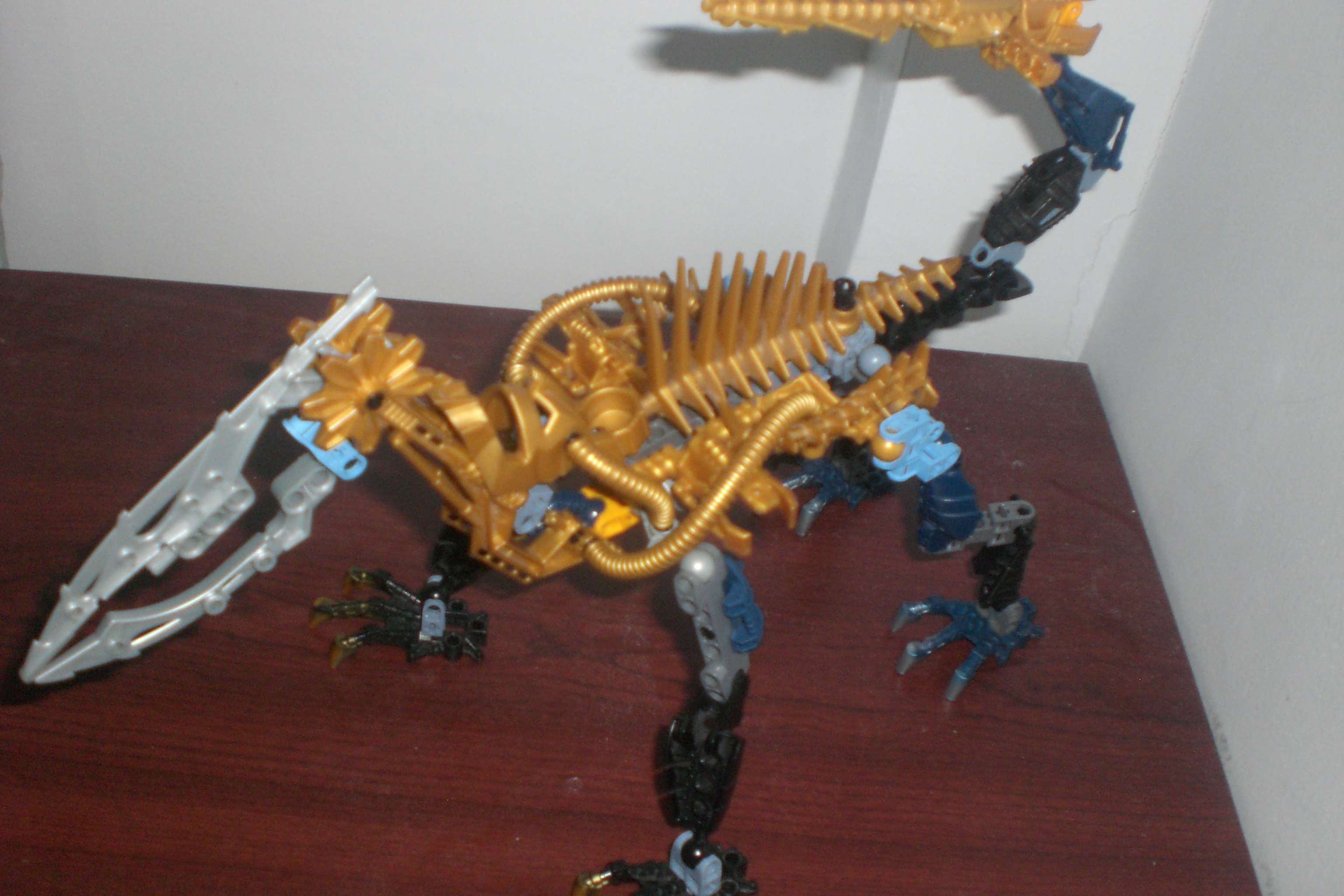 gragon_3.jpg