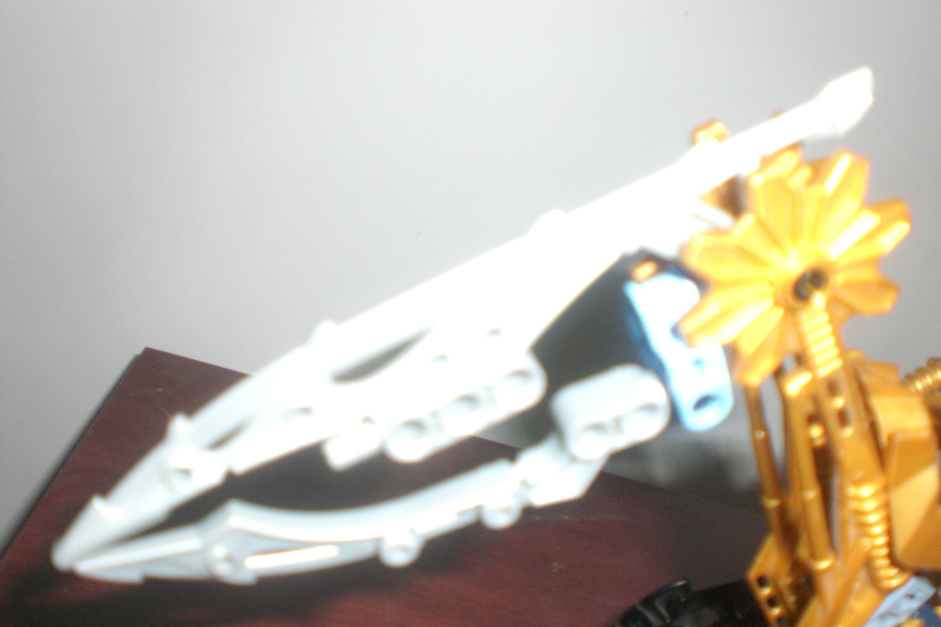 gragon_head.jpg