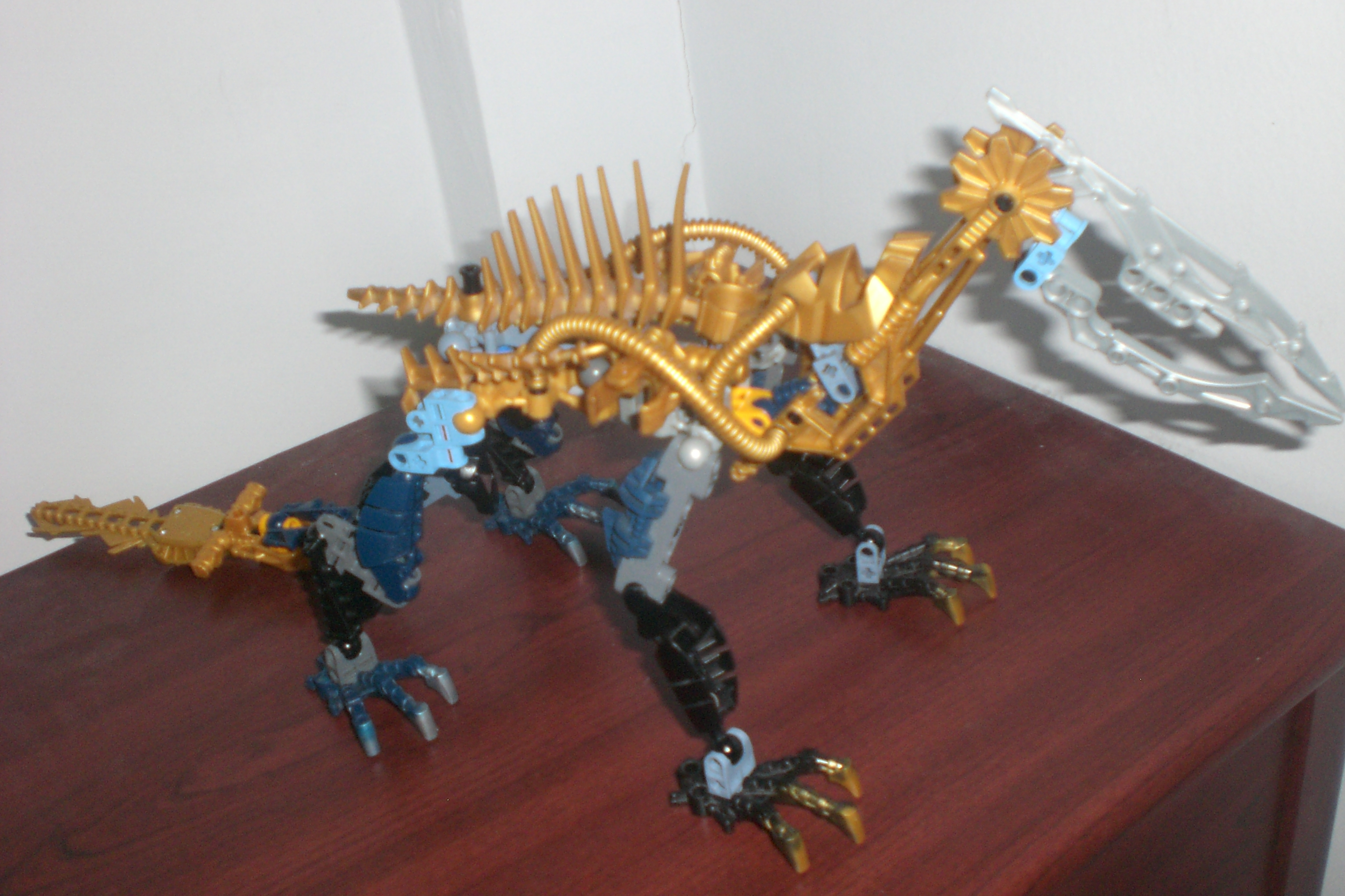 gragon_taildown.jpg