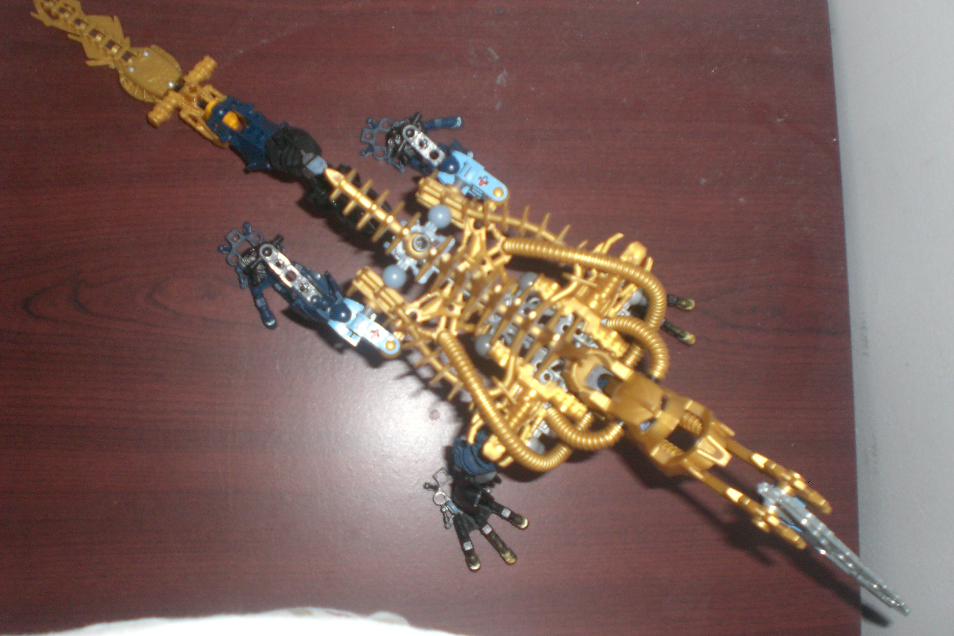 gragon_upview.jpg