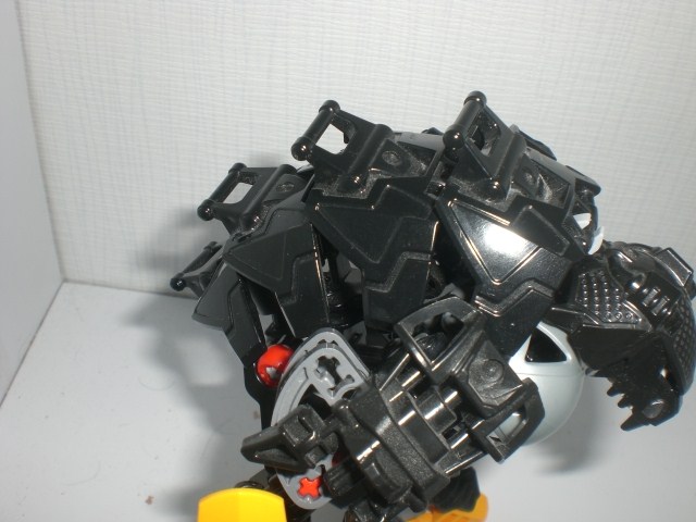 grizzlokh_spine_2.jpg
