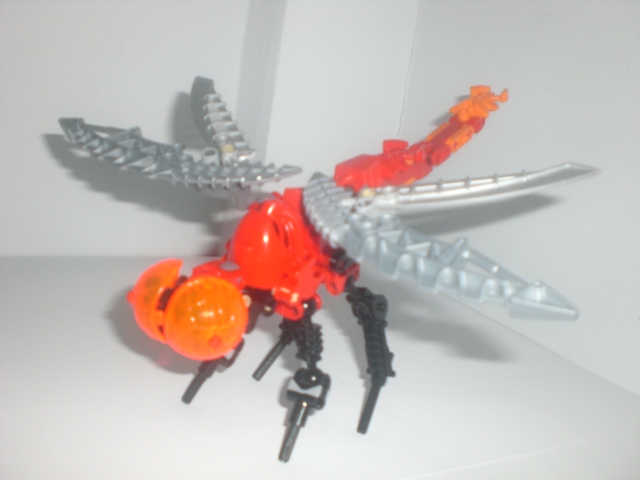 lava_dragonfly_2.jpg
