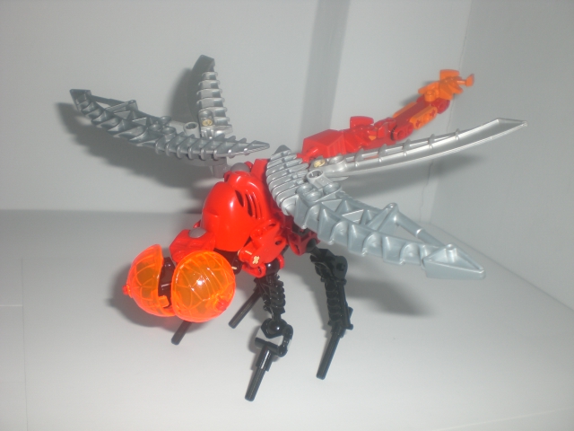 lava_dragonfly_3.jpg