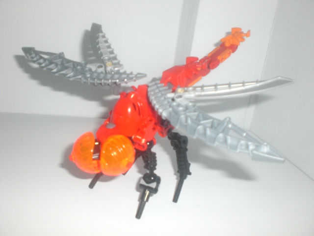 lava_dragonfly_4.jpg