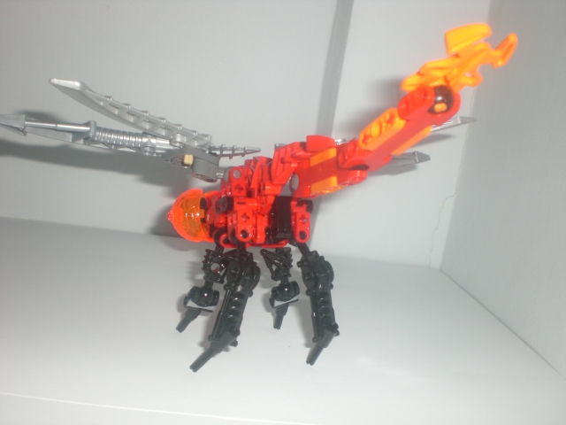 lava_dragonfly_back.jpg