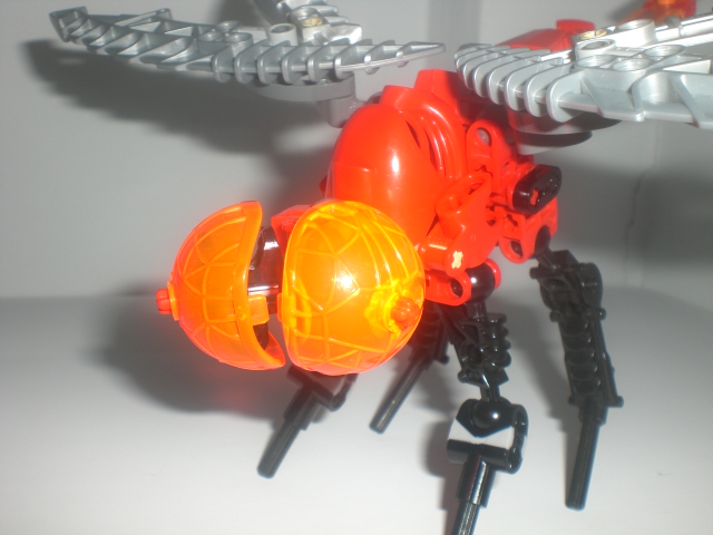 lava_dragonfly_close_up.jpg