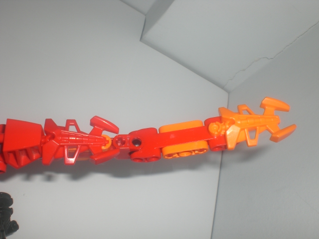 lava_dragonfly_tail.jpg