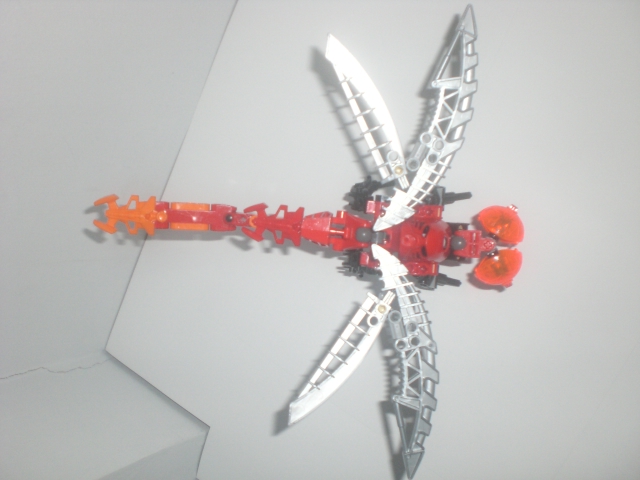 lava_dragonfly_upview.jpg