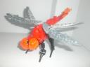lava_dragonfly_4.jpg