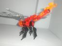 lava_dragonfly_back.jpg