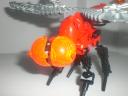 lava_dragonfly_close_up.jpg