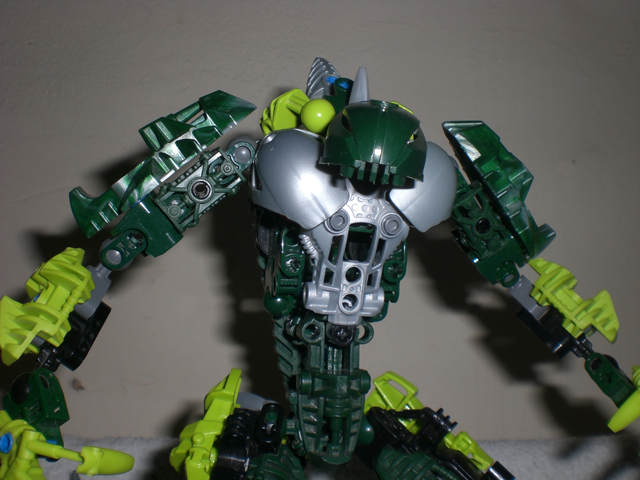 maorahk_close_up.jpg