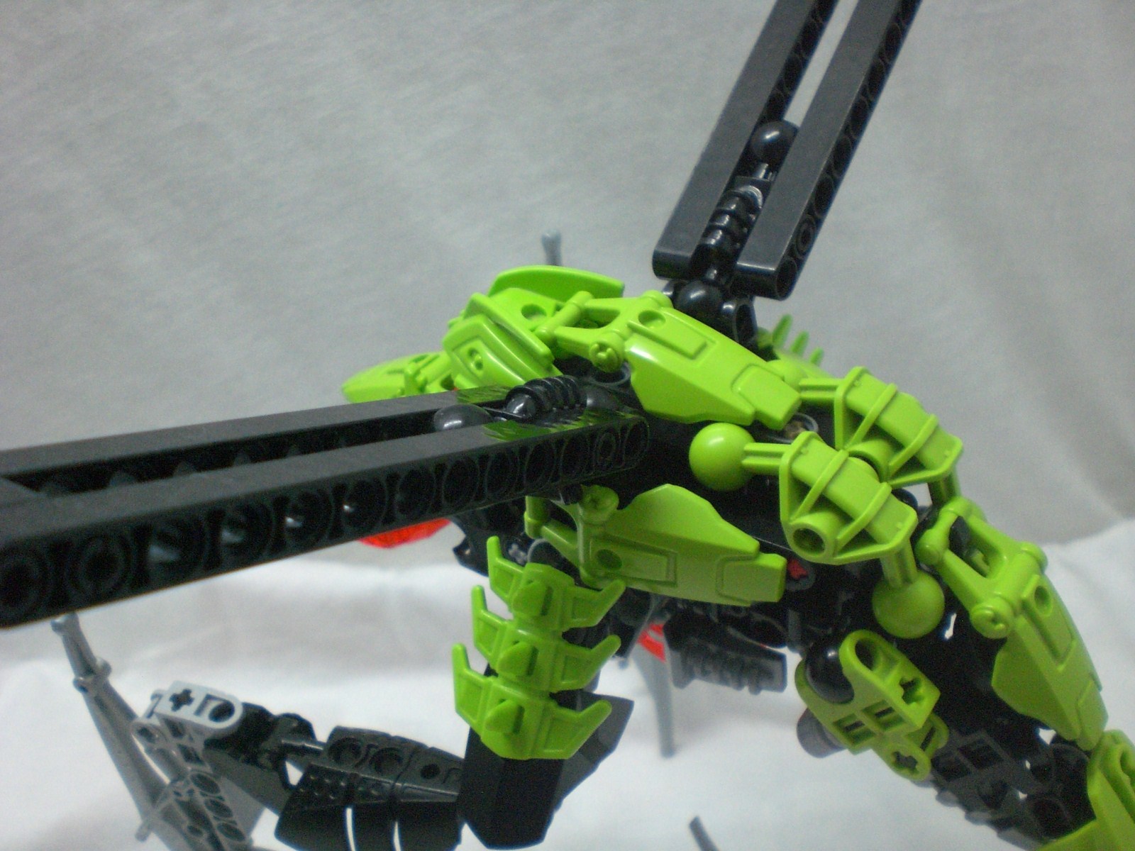 nui_rama_back_close_up.jpg