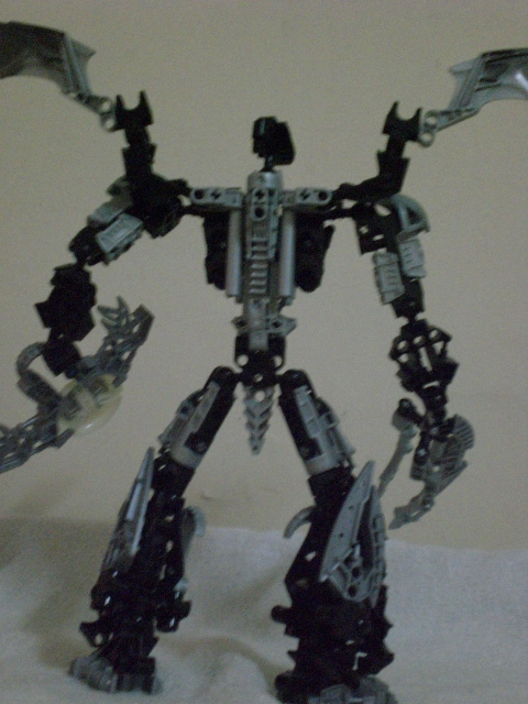 onu_guardian_back.jpg