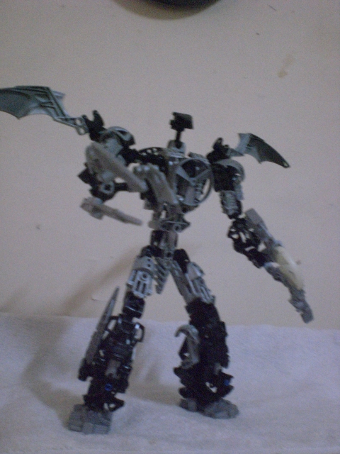 onu_guardian_pose.jpg