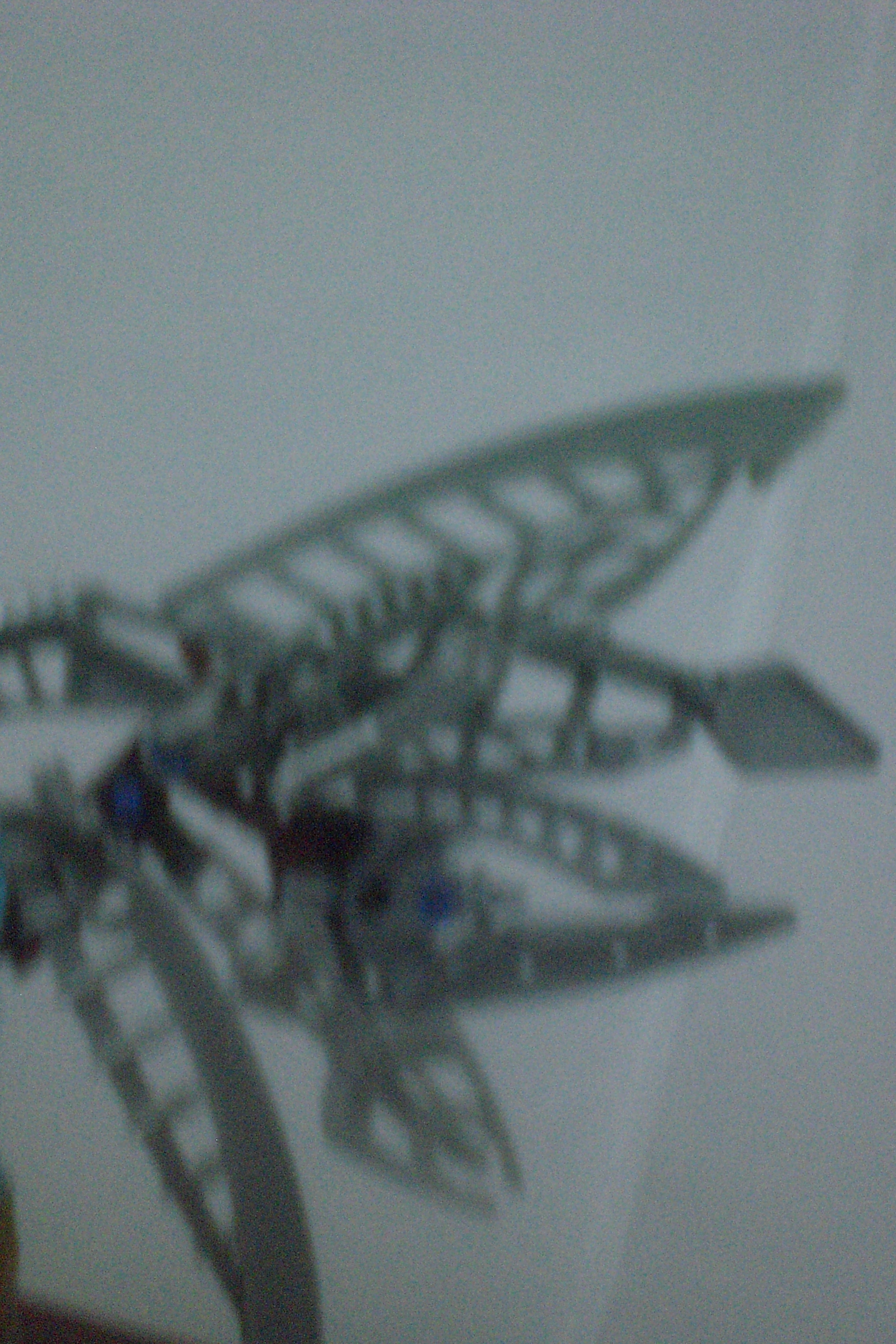 the_silver_wing_wing_design.jpg