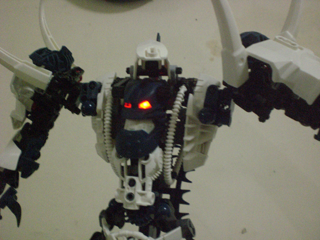 zrakk_close_up_2.jpg