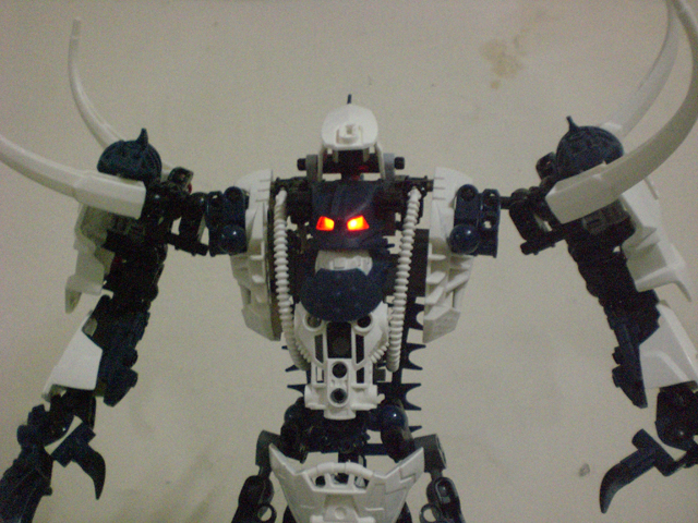 zrakk_close_up_3.jpg