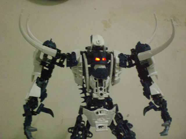 zrakk_close_up_4.jpg
