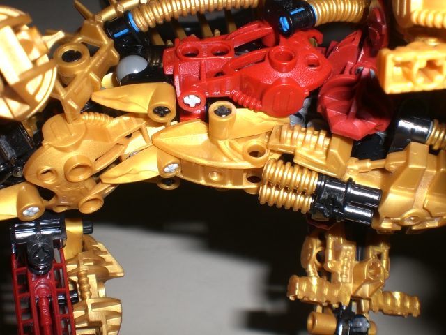 golden_kikanalo_stomach.jpg